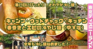 春巻きとエビの冷やし麺（ゆず塩）アイキャッチ