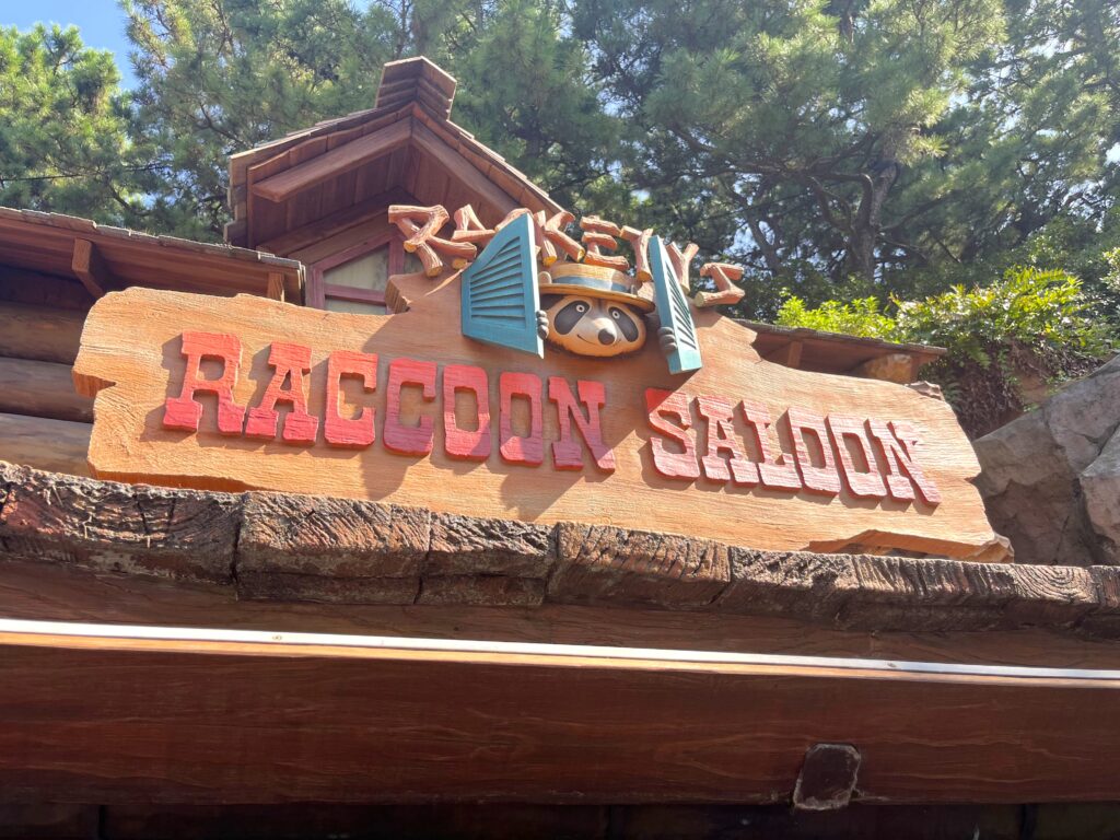 ラケッティのラクーンサルーン