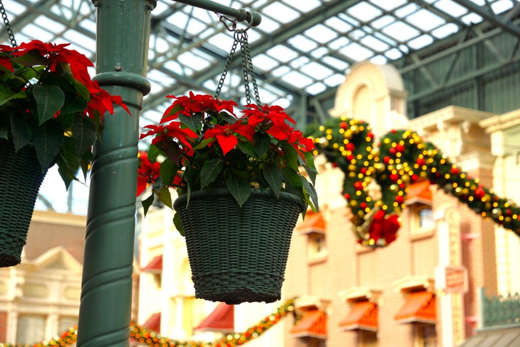 ワールドバザール