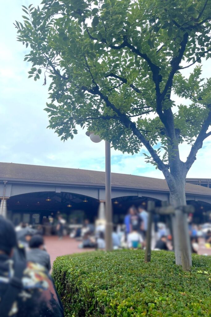 入園待ち
